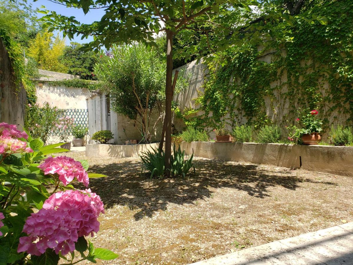Appartement Au Coeur De Cassis Avec Jardin Exterior photo